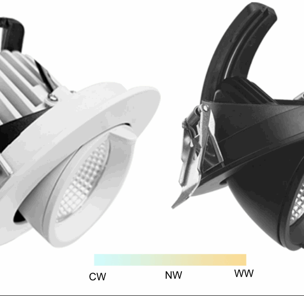 DL05 Tri-Colour 10W Adjustable 90mm Cut-Out Tilting Function 60º(-15º ~+45º) rotating 340º Dimmable Down Light