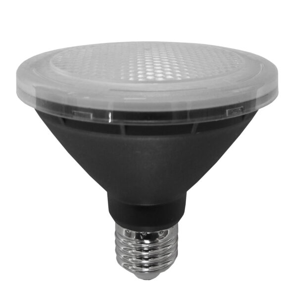 CLA LED PAR30 10w Cool White Globe