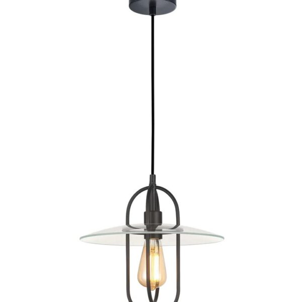 Papillon Interior Oblong Iron with Glass Coolie Pendant Light